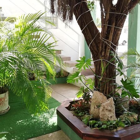 شقة Quetzal Loft كانكون المظهر الخارجي الصورة